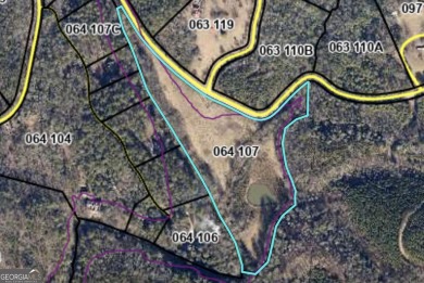 (private lake, pond, creek) Acreage For Sale in Clarkesville Georgia