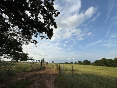 579.98+/- Acres of Prime Southeast Oklahoma Ranch Country in - photo 13