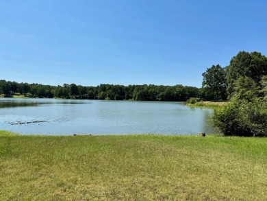 Lake Home For Sale in Somerville, Tennessee