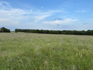 579.98+/- Acres of Prime Southeast Oklahoma Ranch Country in - photo 22