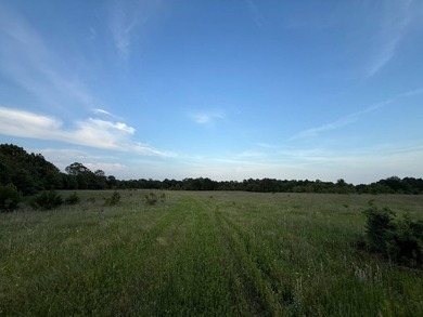 579.98+/- Acres of Prime Southeast Oklahoma Ranch Country in - photo 38