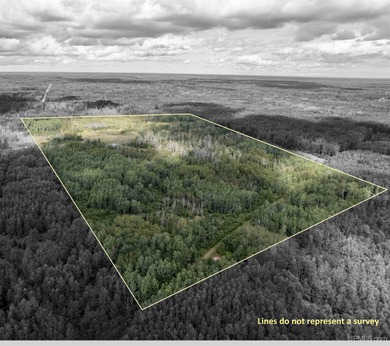 (private lake, pond, creek) Acreage For Sale in Rock Michigan