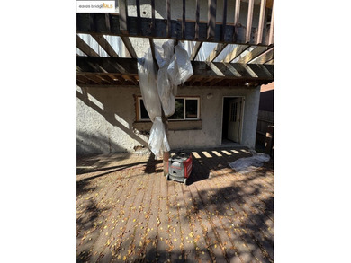 RARE APTOS OPPORTUNITY: Permitted Remodel Ready for Your - photo 15
