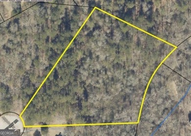 (private lake, pond, creek) Acreage For Sale in Loganville Georgia