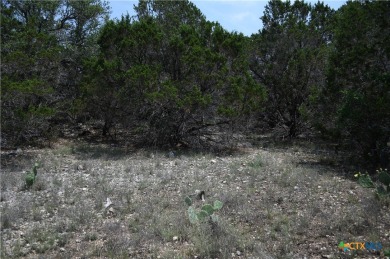 Canyon Lake Lot For Sale in Spring Branch Texas