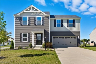 Chippewa Lake Home For Sale in Chippewa Lake Ohio