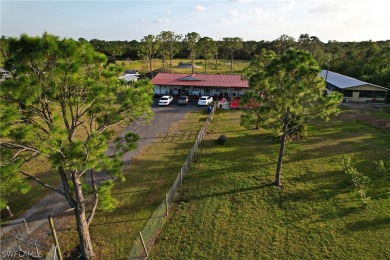 (private lake, pond, creek) Home For Sale in Clewiston Florida
