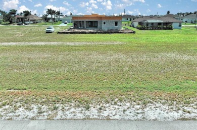 Lake Lot For Sale in Cape Coral, Florida