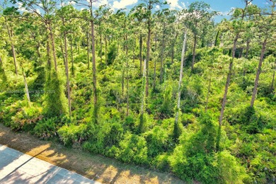 Lehigh Acres Area Lot For Sale in Lehigh Acres Florida