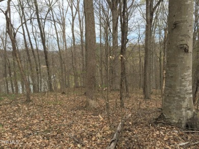 Lake Acreage For Sale in Rogersville, Tennessee