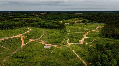 105.06+/- Acres | Mt. Gilead Rd & Blue Ridge Rd | Itawamba - photo 11