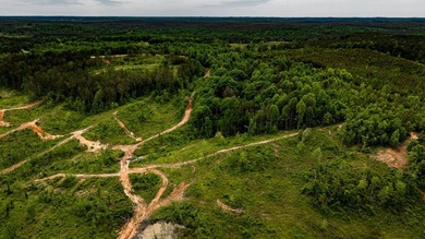 105.06+/- Acres | Mt. Gilead Rd & Blue Ridge Rd | Itawamba - photo 13