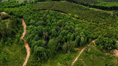 105.06+/- Acres | Mt. Gilead Rd & Blue Ridge Rd | Itawamba - photo 14