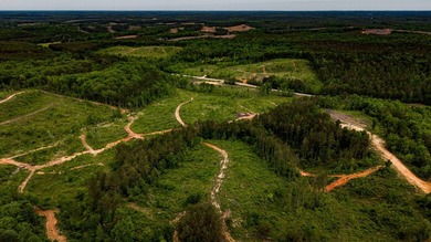 105.06+/- Acres | Mt. Gilead Rd & Blue Ridge Rd | Itawamba - photo 16