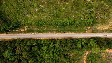 105.06+/- Acres | Mt. Gilead Rd & Blue Ridge Rd | Itawamba - photo 18