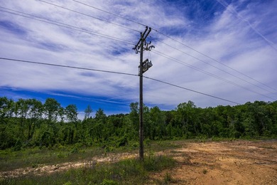 105.06+/- Acres | Mt. Gilead Rd & Blue Ridge Rd | Itawamba - photo 20