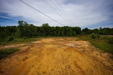 105.06+/- Acres | Mt. Gilead Rd & Blue Ridge Rd | Itawamba - photo 21