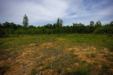 105.06+/- Acres | Mt. Gilead Rd & Blue Ridge Rd | Itawamba - photo 23