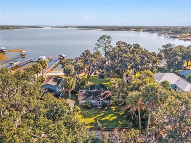 Lake Weir Home For Sale in Summerfield Florida