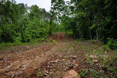 105.06+/- Acres | Mt. Gilead Rd & Blue Ridge Rd | Itawamba - photo 34