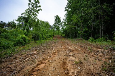 105.06+/- Acres | Mt. Gilead Rd & Blue Ridge Rd | Itawamba - photo 36