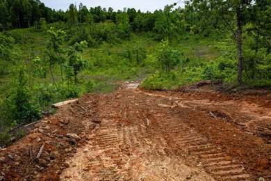 105.06+/- Acres | Mt. Gilead Rd & Blue Ridge Rd | Itawamba - photo 41