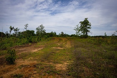 105.06+/- Acres | Mt. Gilead Rd & Blue Ridge Rd | Itawamba - photo 42