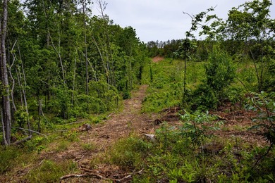 105.06+/- Acres | Mt. Gilead Rd & Blue Ridge Rd | Itawamba - photo 43
