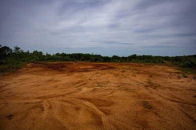 105.06+/- Acres | Mt. Gilead Rd & Blue Ridge Rd | Itawamba - photo 45