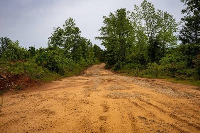 105.06+/- Acres | Mt. Gilead Rd & Blue Ridge Rd | Itawamba - photo 46