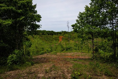105.06+/- Acres | Mt. Gilead Rd & Blue Ridge Rd | Itawamba - photo 47