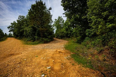 105.06+/- Acres | Mt. Gilead Rd & Blue Ridge Rd | Itawamba - photo 49