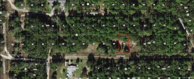 Citrus Lake  Lot For Sale in Inverness Florida