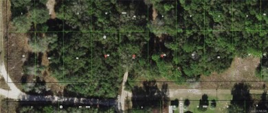 Citrus Lake  Lot For Sale in Inverness Florida