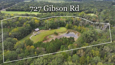 Lake Home For Sale in Ramer, Alabama