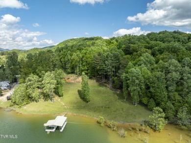 Lake Acreage For Sale in Butler, Tennessee