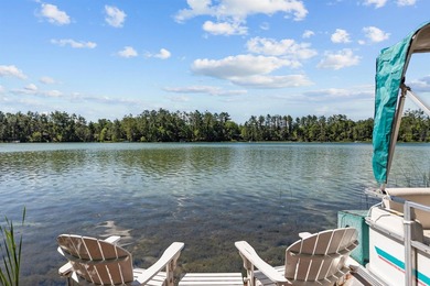 Enjoy lake living on beautiful crystal-clear, spring-fed - photo 42