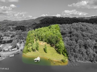 Gorgeous lakefront acreage with private dock!!! Break away from - photo 2