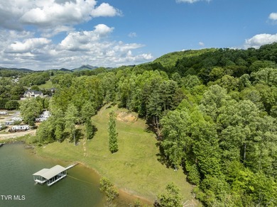 Gorgeous lakefront acreage with private dock!!! Break away from - photo 4
