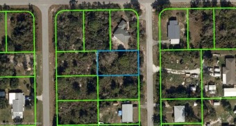 Lake Clay Lot For Sale in Lake Placid Florida