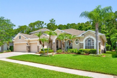 Lakes at The Eagles Golf Club  Home Sale Pending in Tampa Florida