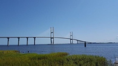 (private lake, pond, coastal) Acreage For Sale in Brunswick Georgia