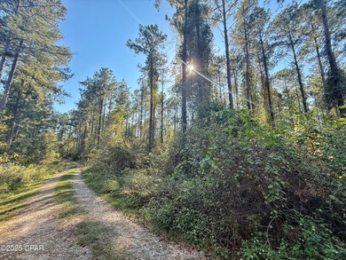 Escape to your own private retreat on this beautiful 5 acre - photo 2
