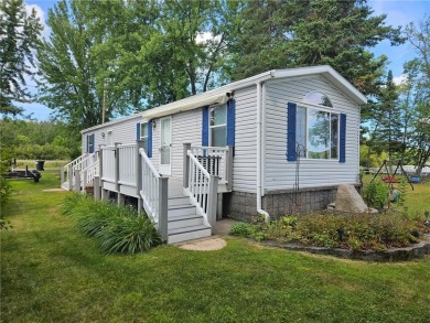 Lake Home For Sale in Pine Lake Twp, Minnesota
