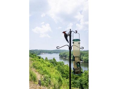 Spectacular 2-bed, 2-bath residence with gorgeous lake and - photo 36