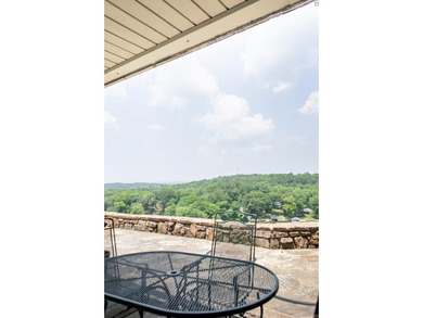 Spectacular 2-bed, 2-bath residence with gorgeous lake and - photo 37