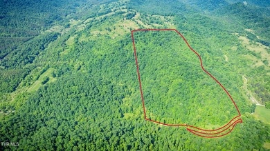 Clinch River - Hancock County Acreage For Sale in Eidson Tennessee