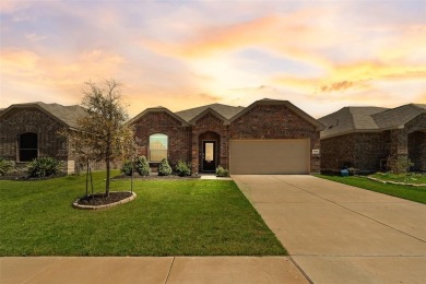 Lake Home For Sale in Princeton, Texas