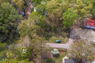 LAY LAKE- NEW PRICE- NEW ROOF-NO HOA! Includes 5 lots, Home has - photo 37