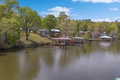 LAY LAKE- NEW PRICE- NEW ROOF-NO HOA! Includes 5 lots, Home has - photo 41